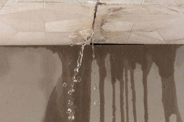 Professional Flood Damage Cleanup technician working in Richwood, TX